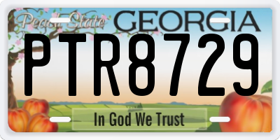 GA license plate PTR8729