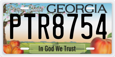 GA license plate PTR8754