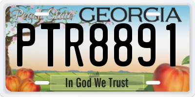 GA license plate PTR8891