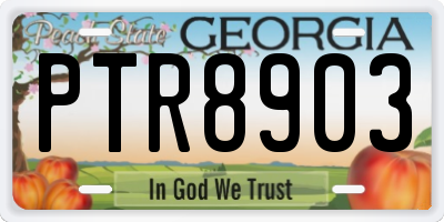 GA license plate PTR8903