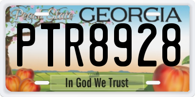 GA license plate PTR8928