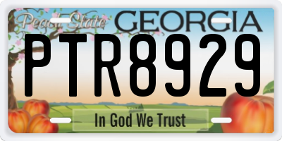 GA license plate PTR8929