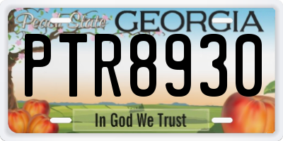 GA license plate PTR8930