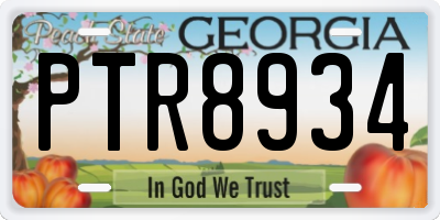 GA license plate PTR8934