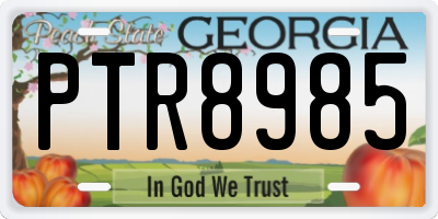 GA license plate PTR8985