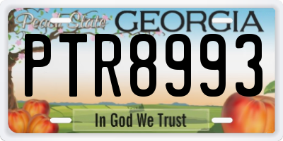 GA license plate PTR8993
