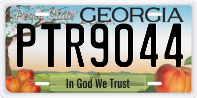 GA license plate PTR9044