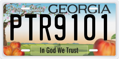 GA license plate PTR9101