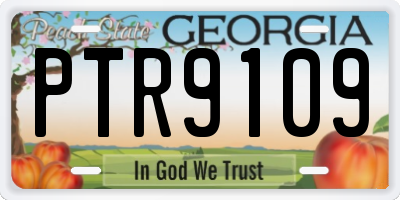 GA license plate PTR9109