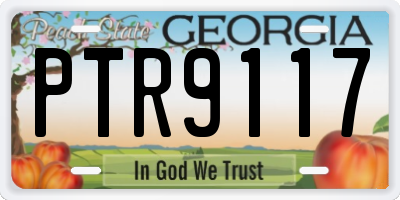GA license plate PTR9117