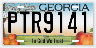 GA license plate PTR9141