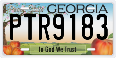 GA license plate PTR9183
