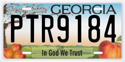 GA license plate PTR9184