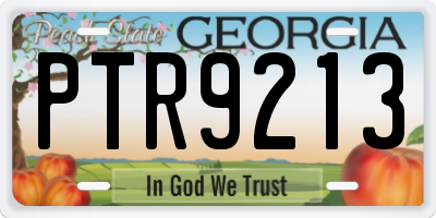 GA license plate PTR9213