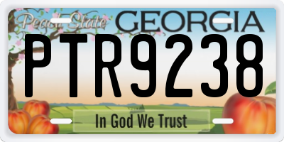 GA license plate PTR9238