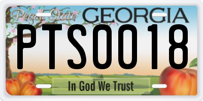 GA license plate PTS0018
