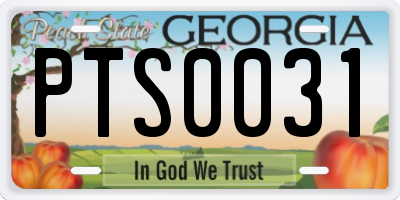 GA license plate PTS0031