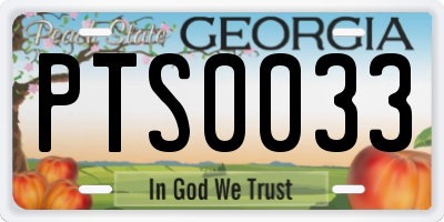 GA license plate PTS0033