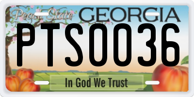 GA license plate PTS0036