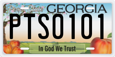 GA license plate PTS0101