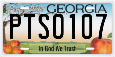 GA license plate PTS0107