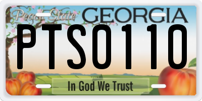 GA license plate PTS0110