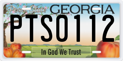 GA license plate PTS0112