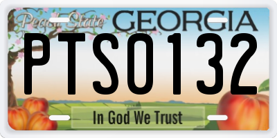 GA license plate PTS0132