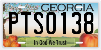 GA license plate PTS0138