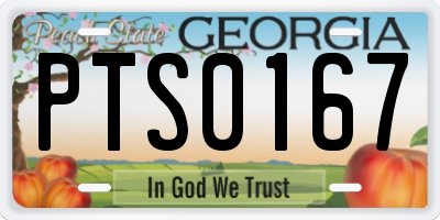 GA license plate PTS0167
