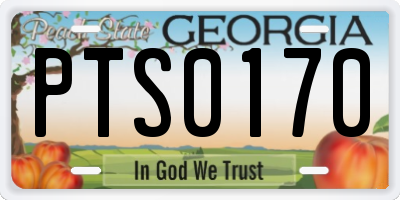 GA license plate PTS0170