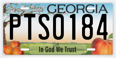 GA license plate PTS0184