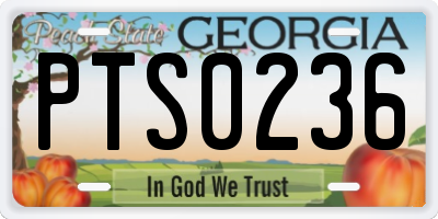 GA license plate PTS0236