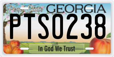 GA license plate PTS0238