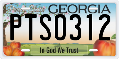 GA license plate PTS0312