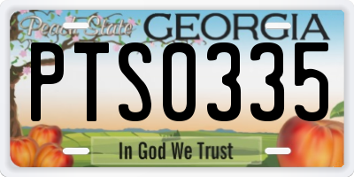 GA license plate PTS0335