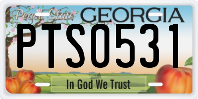 GA license plate PTS0531