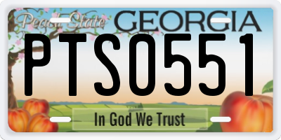 GA license plate PTS0551