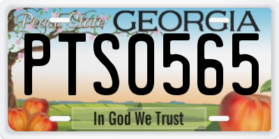 GA license plate PTS0565