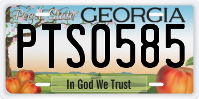 GA license plate PTS0585