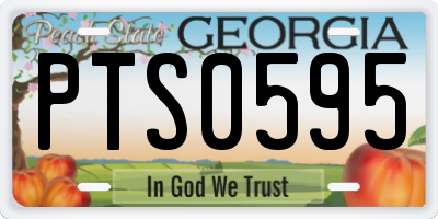GA license plate PTS0595