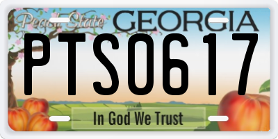 GA license plate PTS0617