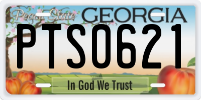 GA license plate PTS0621