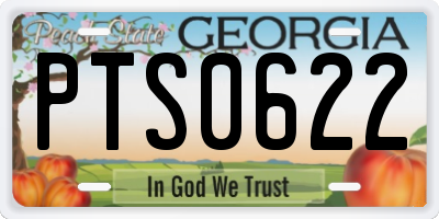 GA license plate PTS0622