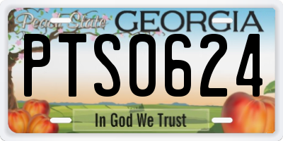 GA license plate PTS0624