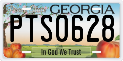 GA license plate PTS0628