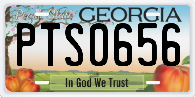 GA license plate PTS0656
