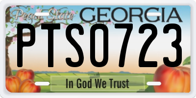 GA license plate PTS0723