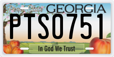 GA license plate PTS0751