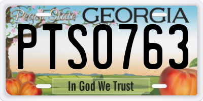 GA license plate PTS0763